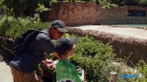 DINOSAUR CAPTURED! Animal Adventure Park Family Fun Zoo Trip, Childrens Outdoor Activities for Kids