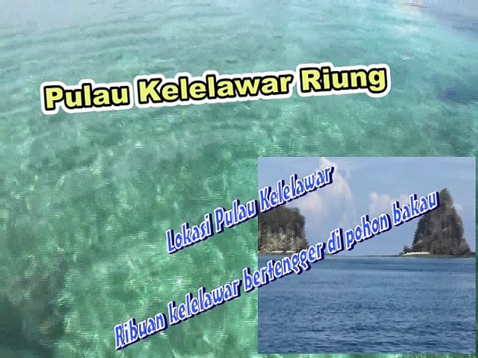 Bat Island in Riung Flores NTT