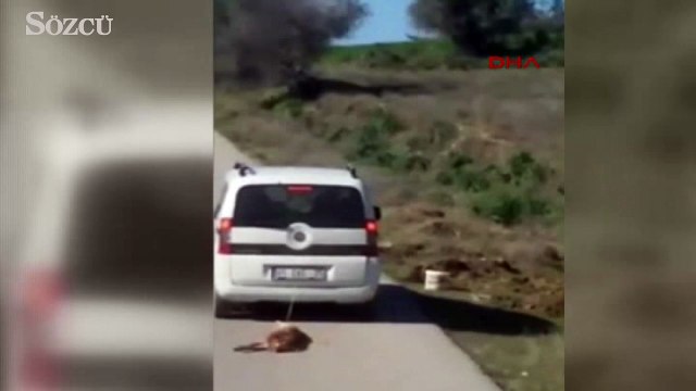 Köpeği arabaya bağlayıp sürükledi