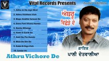 Babul | Pali Detwalia | Punjabi Juke Box | Vital Records Latest 2016