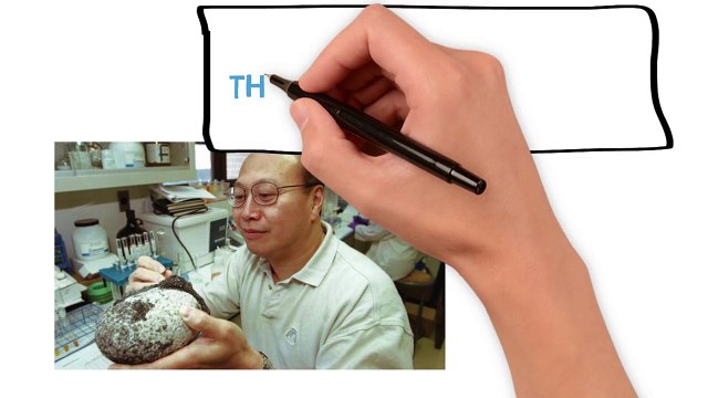 धरती के बारे में 5 चौंका देने वाले तथ्य - 5 Amazing Facts About The Planet Earth