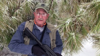 AK 47  Woods Walk