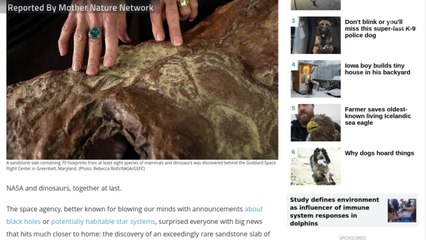 NASA Makes New Dinosaur-Related Discovery Much Closer To Home