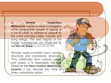 Ask for Termite Inspection before calling a Pest Control Firm