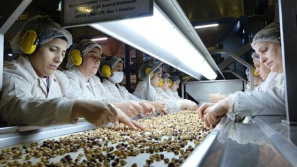 Türkiye, 5 Ayda 150 Bin Tondan Fazla Fındık İçi İhraç Etti