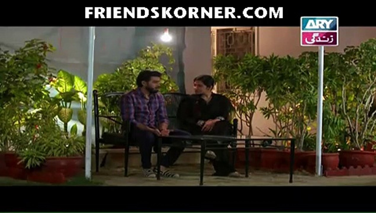 Haya Ke Rang Episode 231 1st feb 2018