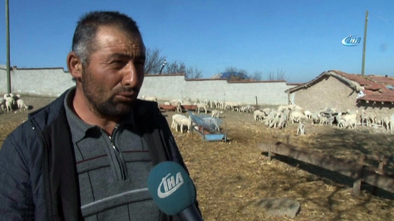 Böyle vicdansızlık görülmedi