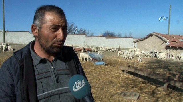 Böyle vicdansızlık görülmedi