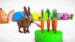 Learn Color & Learn Shapes Rabit Animals W Carrot Cartoon Nursery Rhymes Song For Children