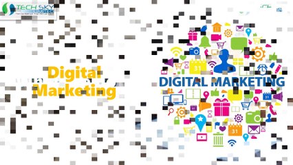 Best Digital Marketing and IT Software Solution Company in Auckland, New Zealand