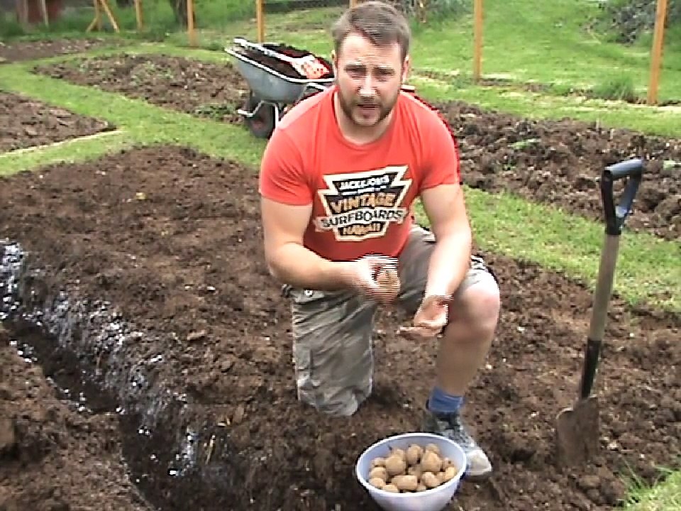 How To Plant Potatoes