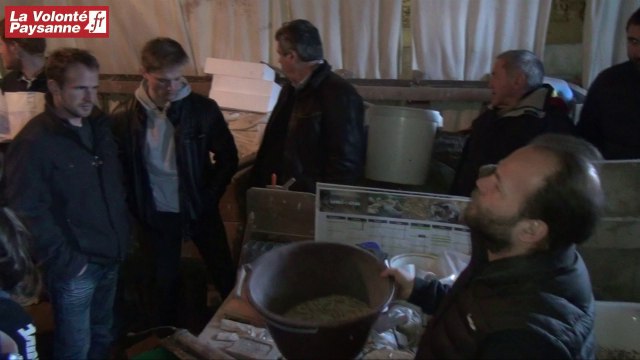 Céréales germées et bovins viande AB