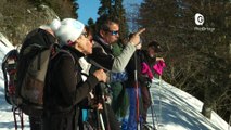 Reportage - La Chartreuse protège le tetras lyre