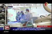 EEUU: científicos eliminaron tumores de ratones en novedoso tratamiento contra el cáncer