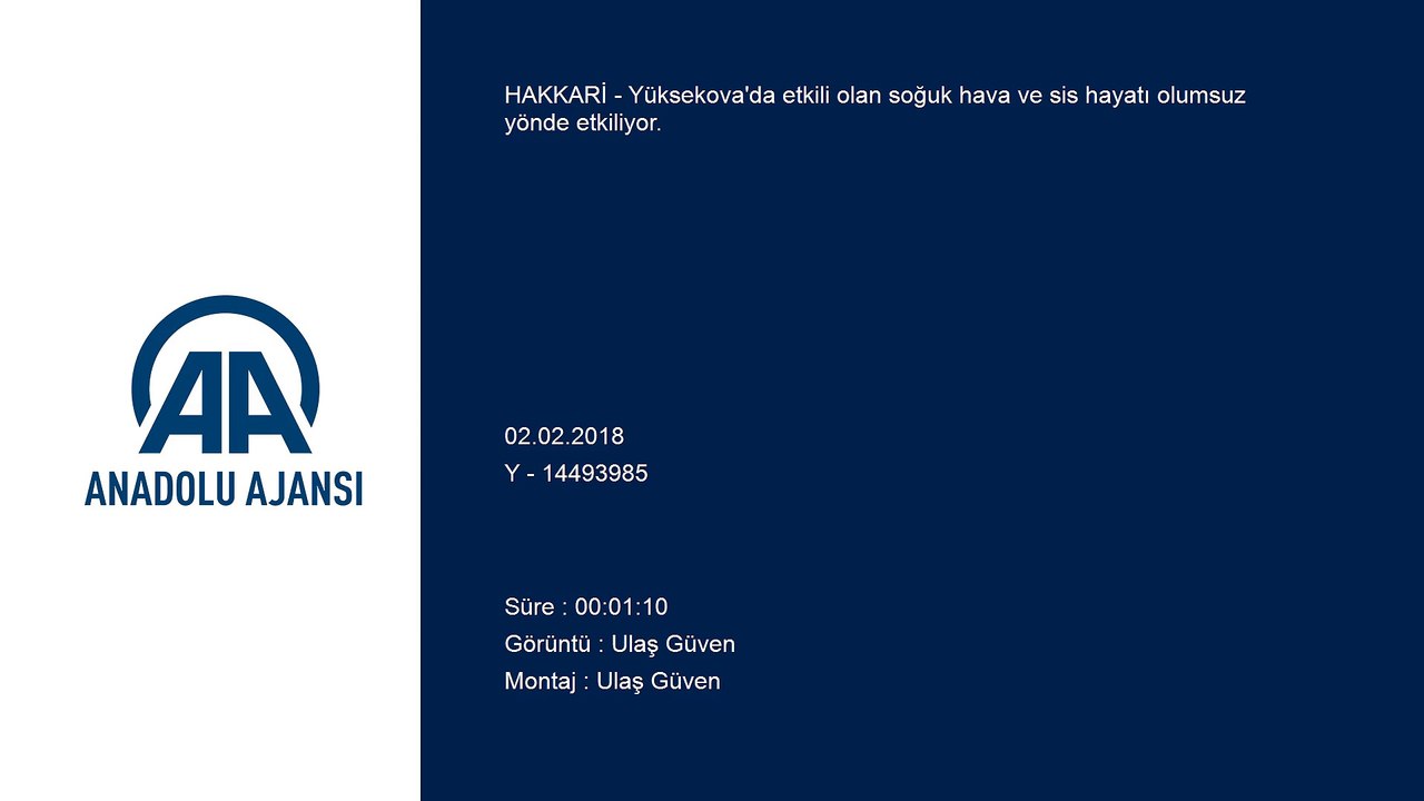Yüksekova'da etkili olan soğuk hava ve sis hayatı olumsuz yönde etkiliyor - HAKKARİ
