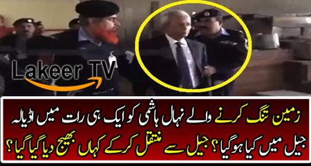 Nehal Hashmi is in Critical Condition After Spend One Night in Jail