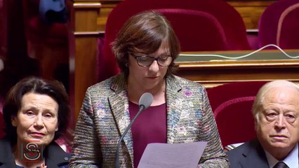 Corinne Ferret : question d'actualité du 1er février 2018