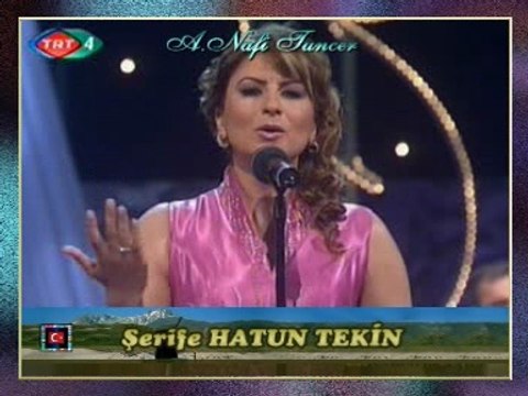 Şerife HATUN TEKİN - Gidem Dedim Suna Boylum Ağladı
