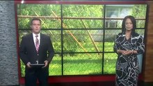 Il pensait que c'était des piqûres d'insectes, mais le vétérinaire lui a dit d'appeler la police