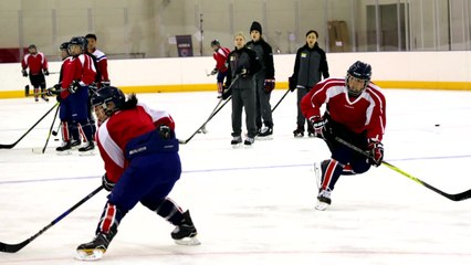 여자 아이스하키 단일팀 4일 스웨덴과 평가전 / YTN