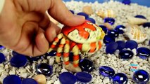 Sea Animals Toys For Children Educational 3D Puzzles - Learning Animals Names For Kids Toddler