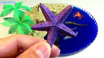 Learn Sea Animals Names Mini Beach Slime Kinetic Sand Safari Ltd Fun Toys For Kids