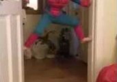 5-Year-Old Releases His Inner Spider-Man