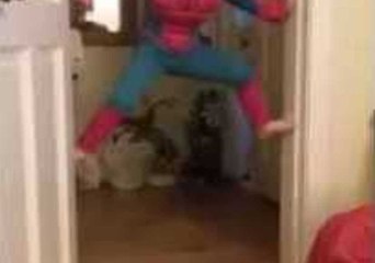 5-Year-Old Releases His Inner Spider-Man