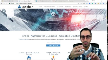 شرح عملات NXT, Ardor, IGNIS والعلاقة بينها ومستقبل هذه العملات
