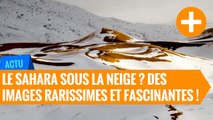 Le Sahara sous la neige ? Des images rarissimes et fascinantes !