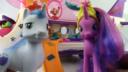 Shining Armor and Twilight Sparkle TOY REVIEW: Littlest Pet Shop JET