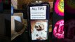 Creative and Clever Tip Jars to Increase Tips