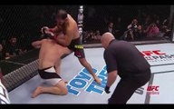 UFC SP: Rogério Minotouro nocauteia Patrick Cummins