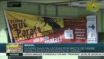 Brasil: trece muertos por fiebre amarilla en Río de Janeiro