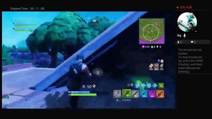 Fortnite Dudes (4)