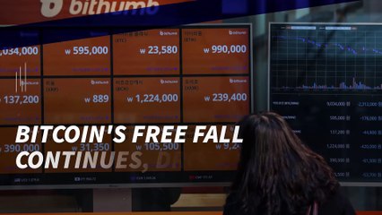 Bitcoin's Free Fall Continues, Drops Below $8,000