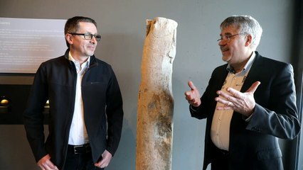 Alba-la-Romaine : un trésor antique découvert au fond d’un jardin