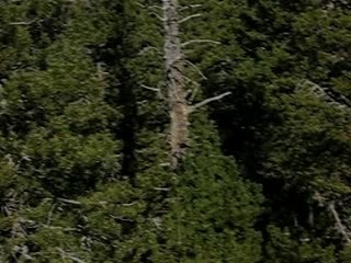 Quand te reverrai je