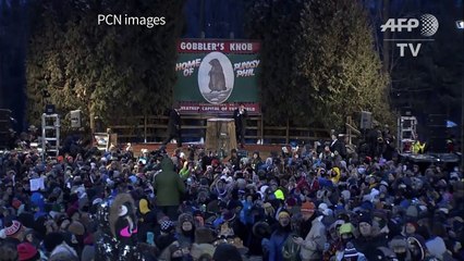 Brr! Six more weeks of winter for US, says furry forecaster