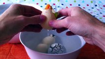 Day 2 - Watch 5 Dino Eggs Hatch Into Baby Dinosaurs, Lizards, Snakes And Dinosaur Toys