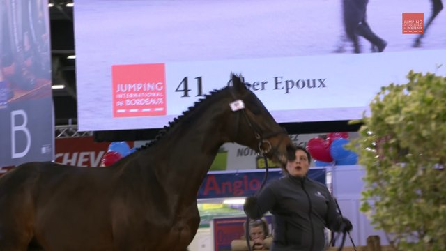 Jump'in Bordeaux TV #6 - Les stars du Salon des Etalons de Sport de Bordeaux