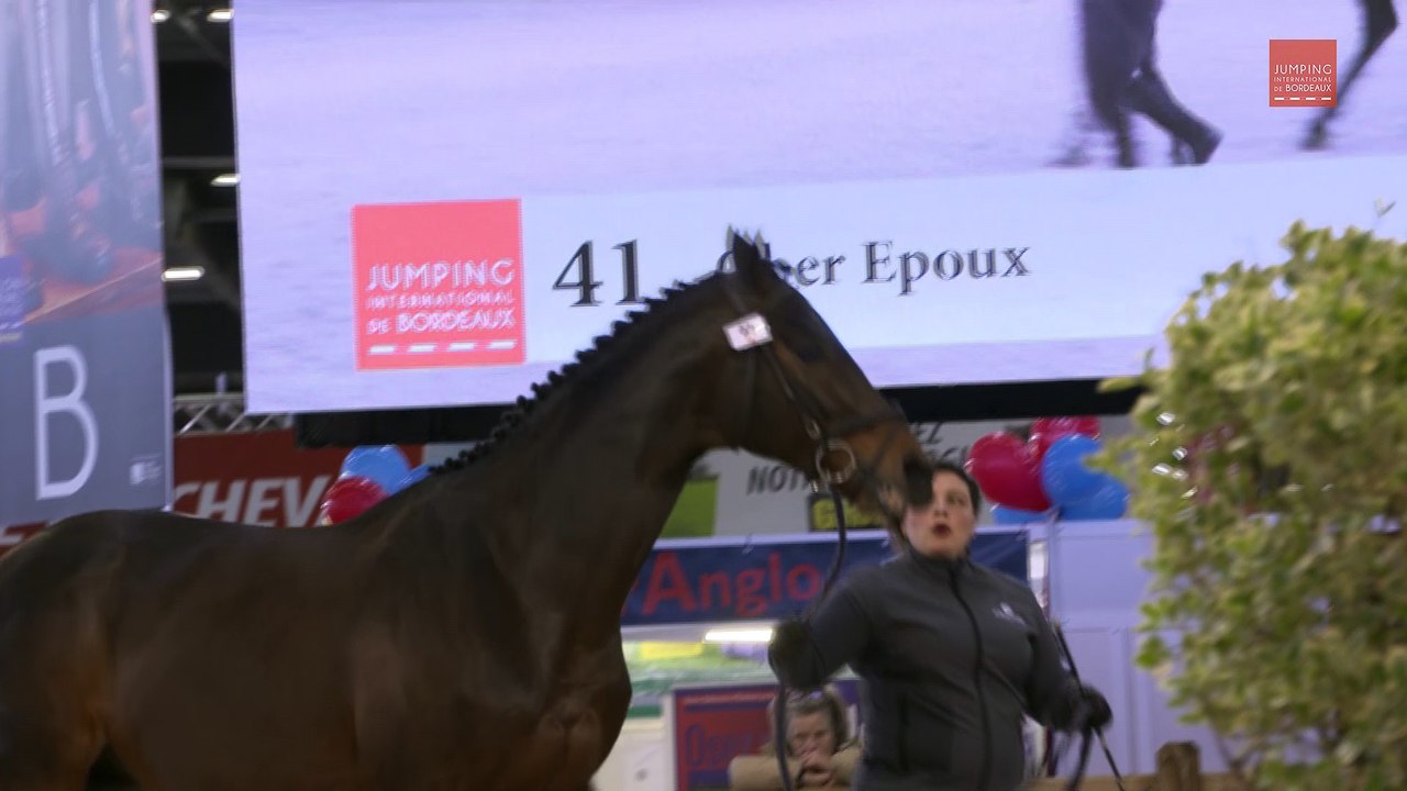 Jump'in Bordeaux TV #6 - Les stars du Salon des Etalons de Sport de Bordeaux