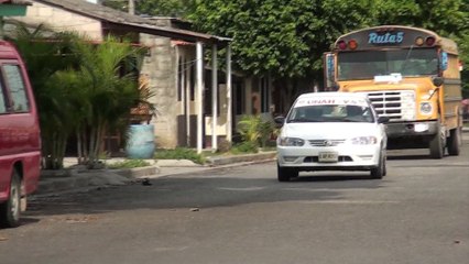 Extenderán permisos de circulación a buses y taxis