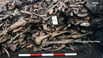 Unearthed Mass Grave Was Likely Burial Site for Viking Army Members