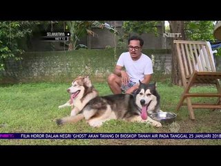 Tanta Ginting Terapkan Raw Food Untuk Kedua Anjingnya