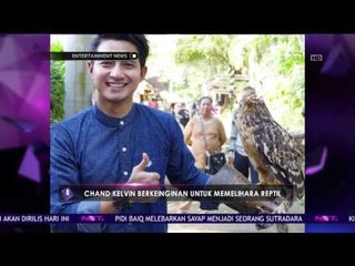 Lepaskan Penat Saat Bekerja, Chand Kelvin Memberikan Makan Buaya