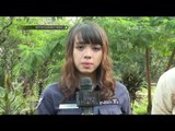 Live Report Prosesi Pemakaman Putri Bungsu Komeng