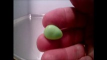 CRUSHED IT. SOUR JELLY BEAN EGGS CANDY.VICTOR PIZZEY FELECIA187,FROM RED DEER ALBERTA CANADA. I AM CANADIAN.