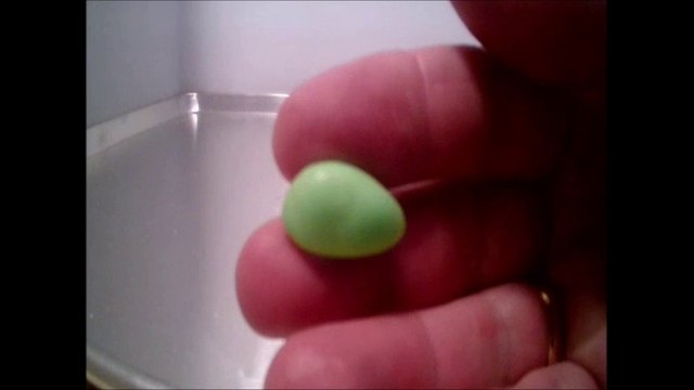 CRUSHED IT. SOUR JELLY BEAN EGGS CANDY.VICTOR PIZZEY FELECIA187,FROM RED DEER ALBERTA CANADA. I AM CANADIAN.