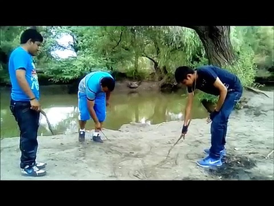 LA_PORNOGRAFIA